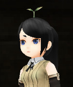 Photosynthesis System